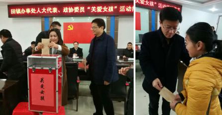 武穴市田镇办事处组织人大代表、政协委员开展