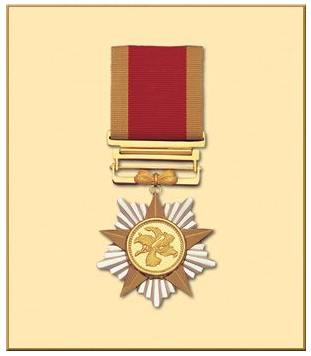 大紫荆勋章.(图片来自网络)