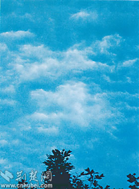 [看云识天]蔽光层积云(图)
