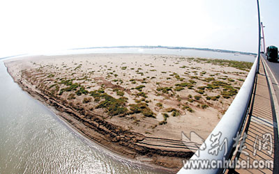 长江出现罕见低水位 白沙洲渐露真容(图)