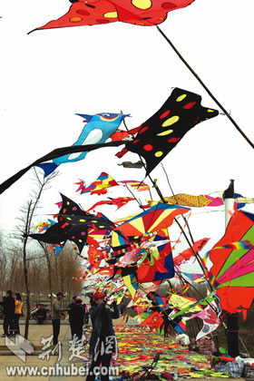 武汉市汉口江滩 五彩风筝漫天飞(图)