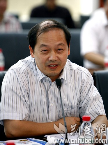 段银弟 湖北银行行长 张扬摄