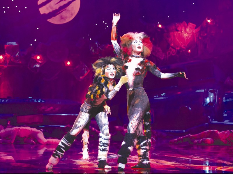 经典音乐剧《猫》中文版登陆江城(图)