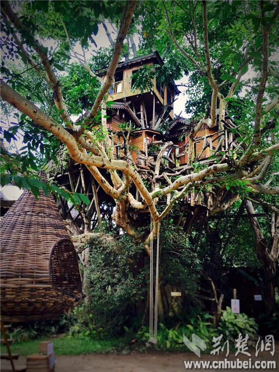  玩味>中国版的丛林飞跃&树屋