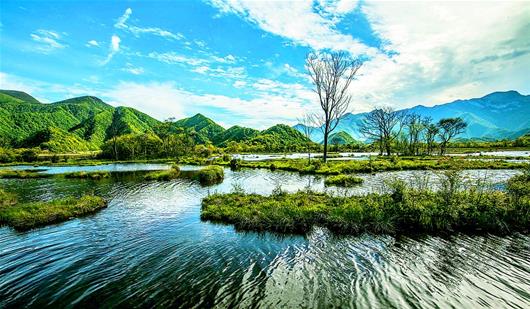 党代表畅谈"绿满荆楚":守护生态 水光山色与人亲