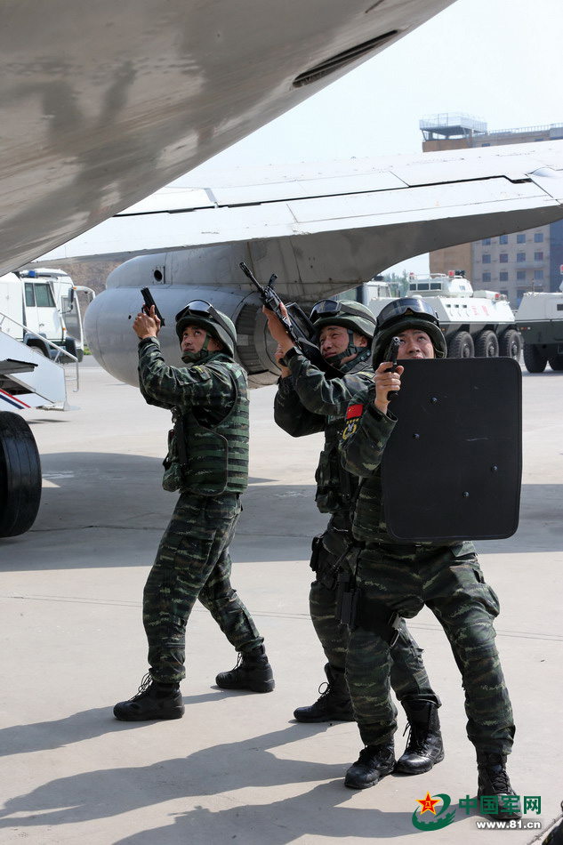 听"猎鹰"故事 寻忠勇善战力量之源