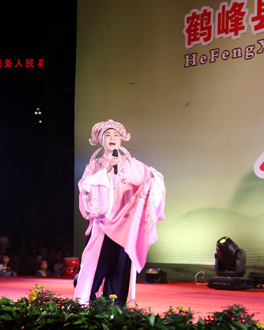 鹤峰启动2012民族民间文化艺术展演