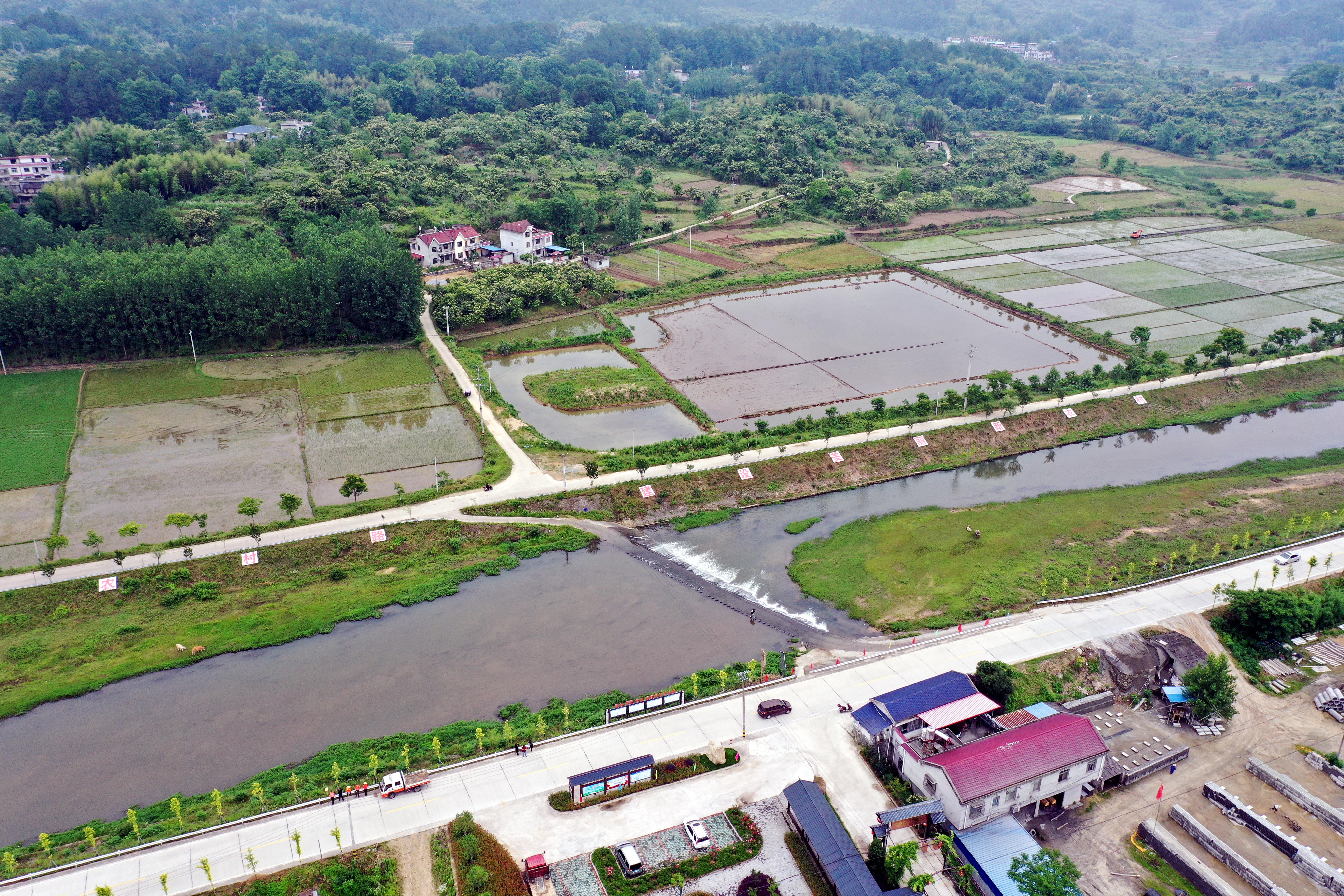4月23日,群山环绕的大别山区湖北省罗田县凤山镇大雾山村桐花绽放