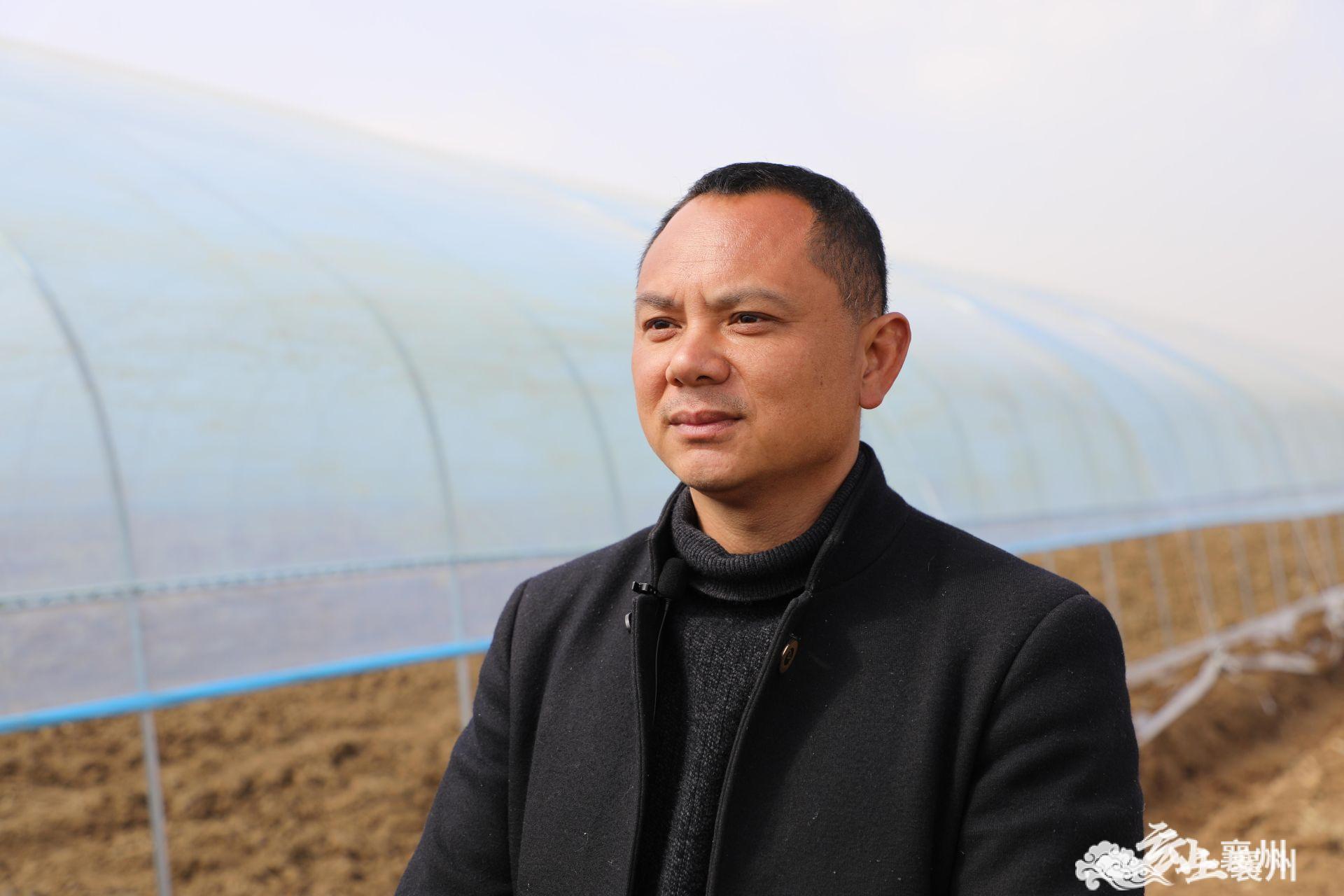 伙牌镇湾子村：大棚蔬菜搭上电子商务“快车”