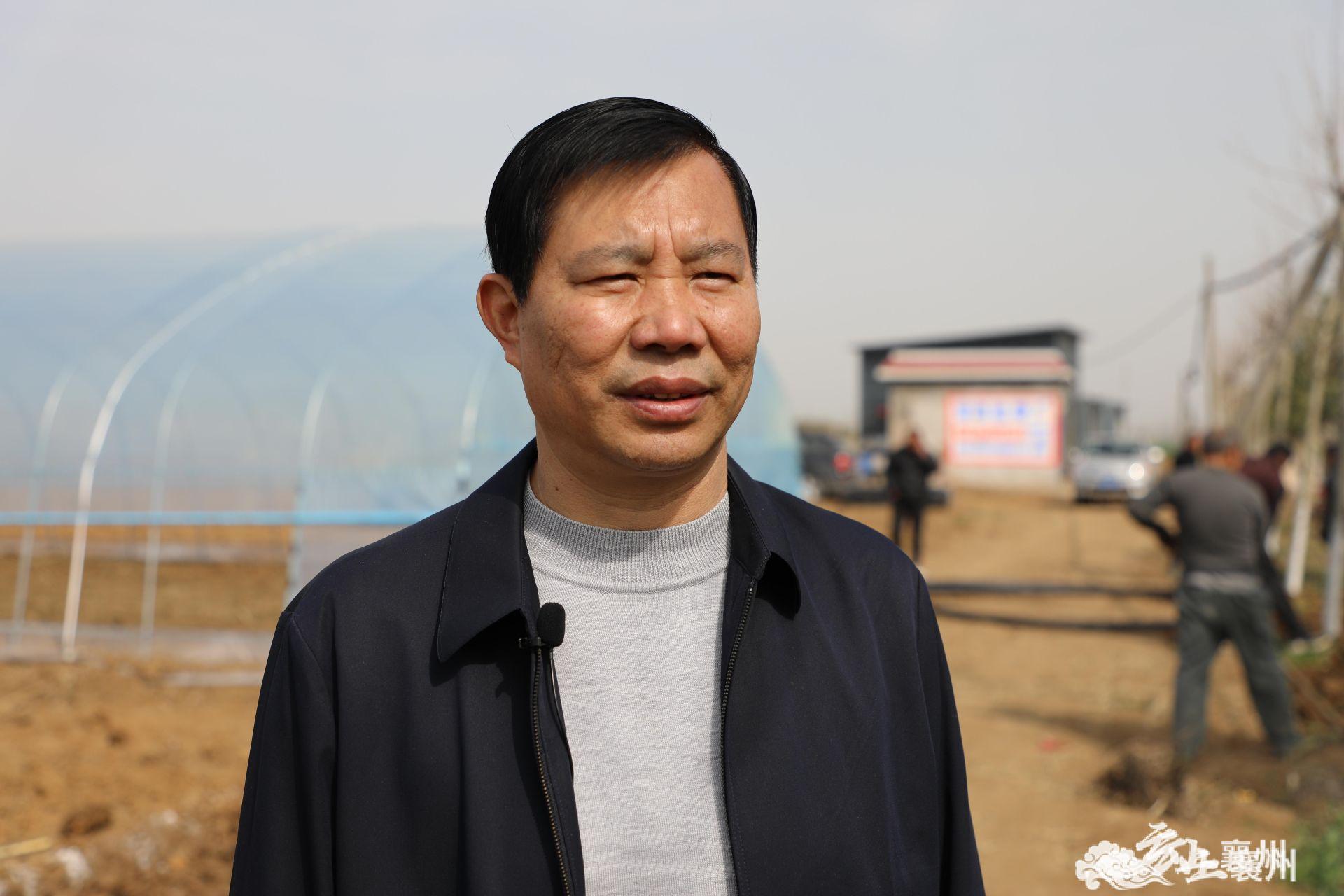 伙牌镇湾子村：大棚蔬菜搭上电子商务“快车”