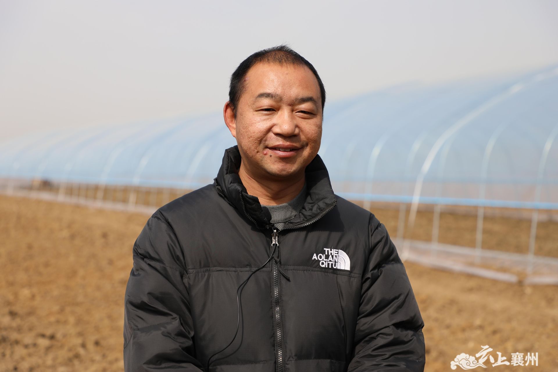 伙牌镇湾子村：大棚蔬菜搭上电子商务“快车”