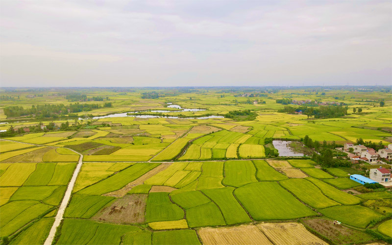 谢勇是什么意思_谢勇的抖音_谢勇哪里人