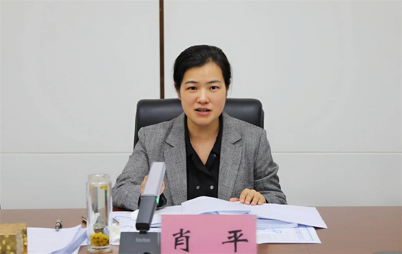 宜城市召开楚都安澜现代水网规划征求意见审查会