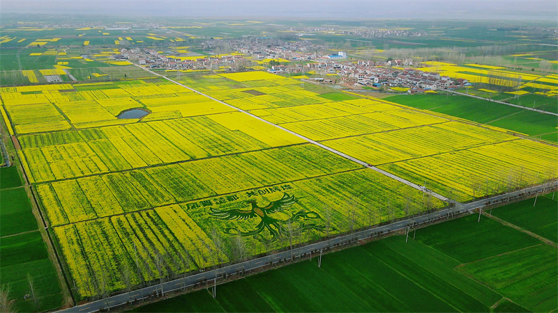 宜城赏花地图上线