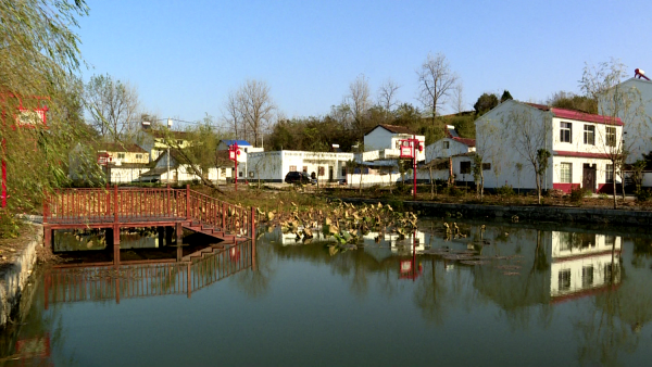 杨家湾村:内外兼修 美丽乡村精彩蝶变