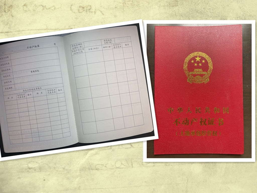 荆州市不动产登记交易中心耕地有了新身份证